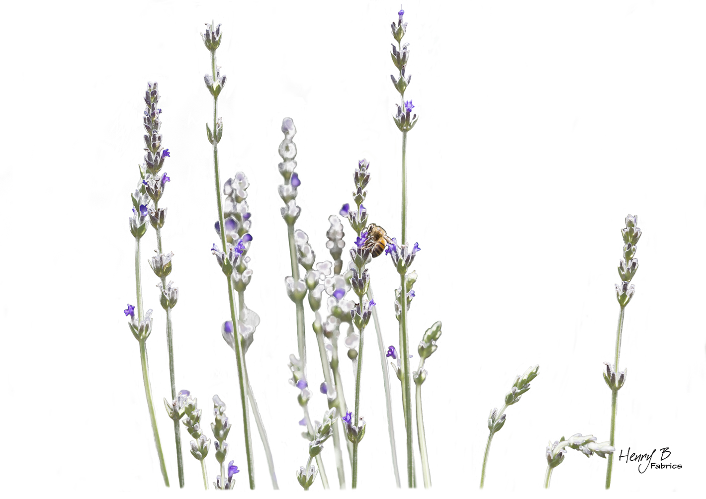 lavender-placemat-1